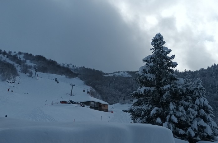 Retour de la neige en quantités